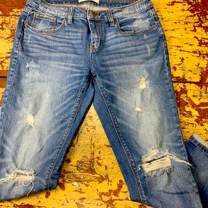 Daytrip lynx ankle straight relaxed fit jeans